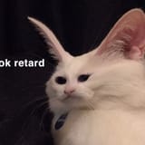 1657219242297