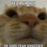 353423214