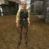 MW-npc-Fargoth