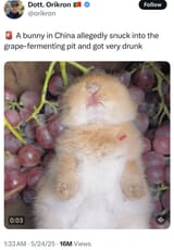 1732772239528151