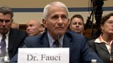 240603134213-anthony-fauci-covid-hearing-digvid