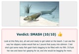 smash_8_1