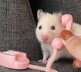 1706127986988859