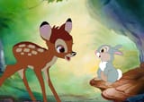 bambi