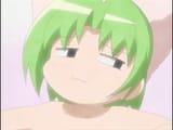 smug cat