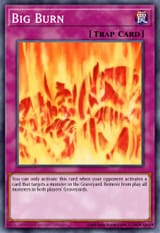bigburn