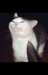1000000979