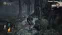 avg ds3 gameplay_thumb.jpg