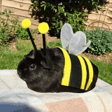 Guinea bee[sound=files.catbox.moe%2Febsquk.mp3]