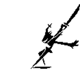 image_2025-06-16_205759618