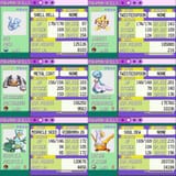 Emerald E4 Team