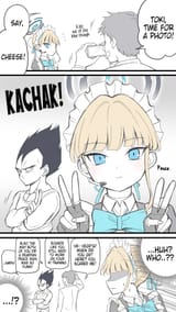 Vegeta toki