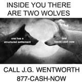 17041086713733525294446888293617