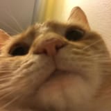 1723878277107252