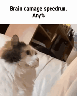 1736153008158009