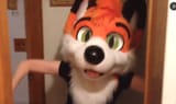 Temmie furry