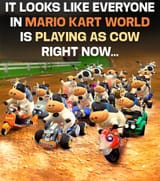 Average Nintendo Fans