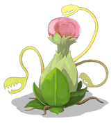 Snake_Plant