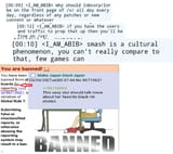 bad mod and janny