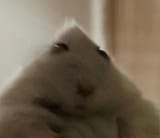 1750139581991