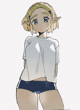 Zelda’s fate