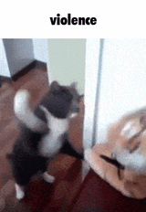 violence