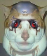 Katner