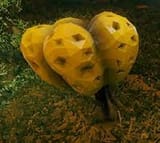 goo sack
