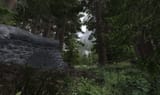 The Elder Scrolls V Skyrim Special Edition Screenshot 2025.03.02 - 02.50.40.68