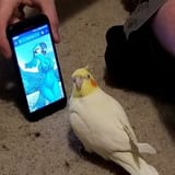 1707950929738600