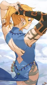 link ambush