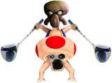 skoad