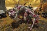 ulcerated-tree-spirit-1