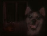 SmilerdogerHD