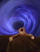 cat-vortex-scream