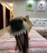 08212306387c138bda7f4d691d3e52e8