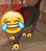 1750176047945104