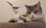 martini enjoyer