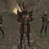 ayleid