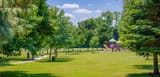 Larchmont-Community-Park-May-2020-15web