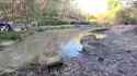 Beaver Dam_thumb.jpg