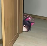 1737133197055127
