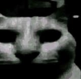 1716629155617025