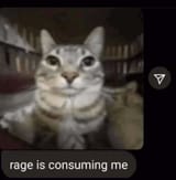 1711647941204210