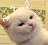 1751385998243