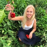 haley