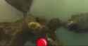 bloons[sound=files.catbox.moe%2F4gvjm0.mp3]_thumb.jpg