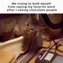 1721625263781288_thumb.jpg