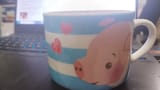 poogie