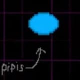 pipis